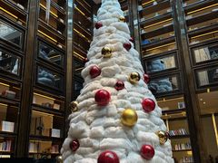 -行者书屋大堂吧 ·下午茶(南京圣和府邸酒店)