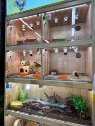 -小象动悟公园(龙湖亦庄天街店)