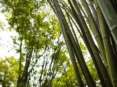 -成都杜甫草堂博物馆