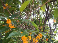 -艾溪湖湿地公园