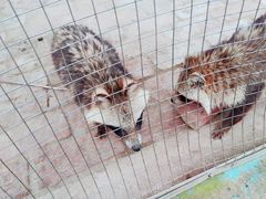 -武汉紫薇都市田园