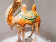 -景德镇中国陶瓷博物馆