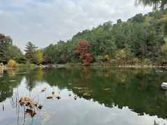 -香山公园