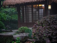 -中国茶叶博物馆(双峰馆区)