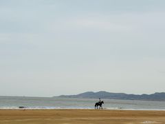 -青岛海泉湾度假区温泉