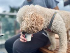 -星巴克(扬州珍园店)