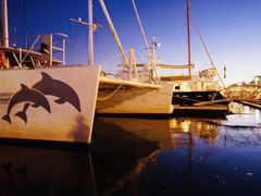 -马赛老港