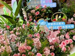 -盒马鲜生(岭南新世界店)