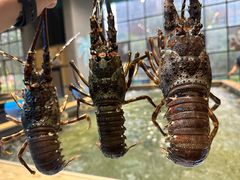 -桃源乐钓虾馆(松岗概念店)