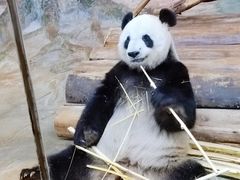 -海南热带野生动植物园