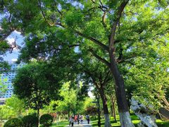 -西海子公园