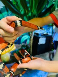 -酷嗒动物文化乐园(cutezoo西溪乐天城店)