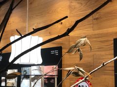 -茶颜悦色(登高路上店)