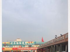 -中环花鸟鱼虫市场
