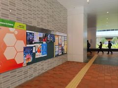 -香港大学