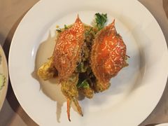 -Red Lobster