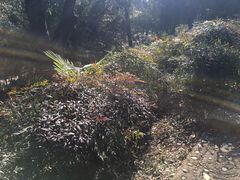 -菊花台公园