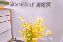 -CAMENAE嘉媚乐