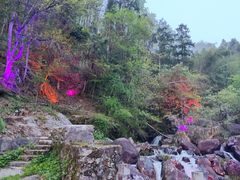 -大围山国家森林公园