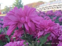 -上海月湖雕塑公园