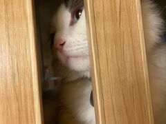 -白兔子密室(长寿路店)