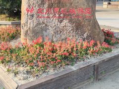 -北川巴拿恰