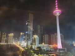 -辽宁电视塔