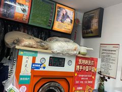 -凯特琳洗衣馆(风雨坛街店)
