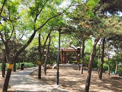 -长辛店二七公园