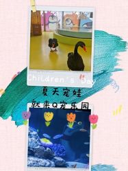 点击看大图 -七巧国萌宠乐园(龙湖天街店)