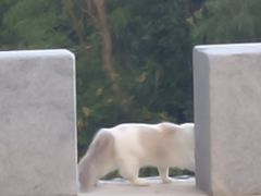 -泉州海丝野生动物世界