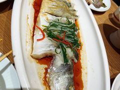 -顺风汤馆·广府粤菜(江宸天街店)