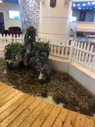 -安徽合肥韩美整形外科医院