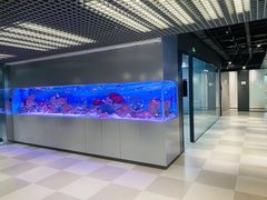 -Meet 空间(华大科技园店)