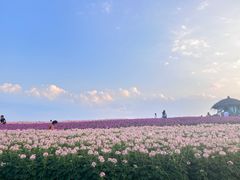 -径山花海