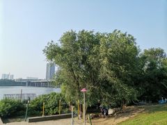 -长白岛森林公园