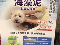 -宠物家(双井店)