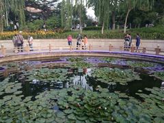 -金城公园