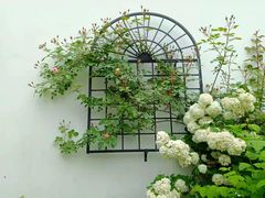 -东山风景区(洞庭东山)