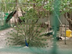 -哈密回王府景区