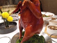 当红脆皮鸡-富临美食