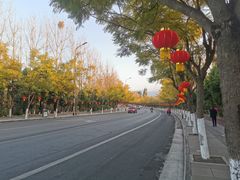 -城南综合水果批发市场(花园路店)