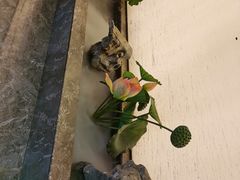 -味钱塘·钱塘渔鲜·地道江浙菜(宋城店)