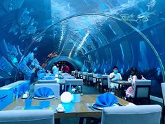 -涛·海底餐厅·美人鱼·自助餐·海底隧道(三亚海棠湾洲际度假酒店)