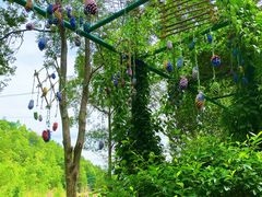 -神光山国家森林公园