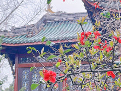 -棠湖公园