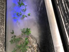 -大榕树下顺德菜(融创茂店)