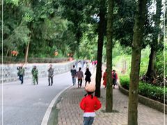 -广州市流溪河国家森林公园