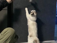 -零纪元VR体验馆·桌游(黄浦店)