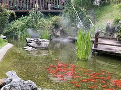 -耕渔小院·湖南鱼鲜(望城店)